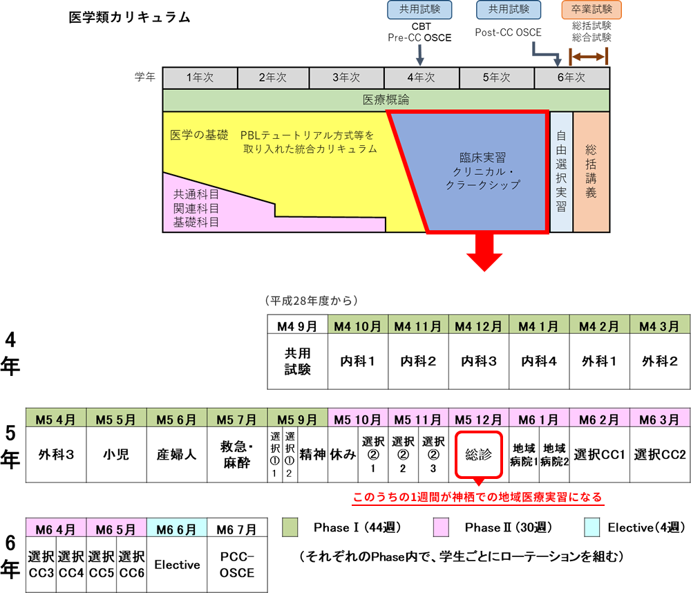 医学類カリキュラム