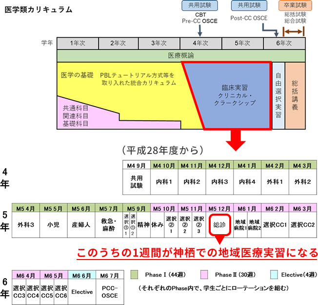 医学類カリキュラム